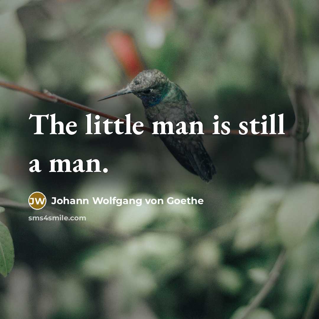 “The little man is still a man.…” quote by Johann Wolfgang von Goethe