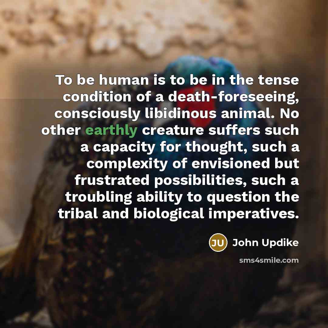 “To be human is to be in the tense condition…” quote by John Updike