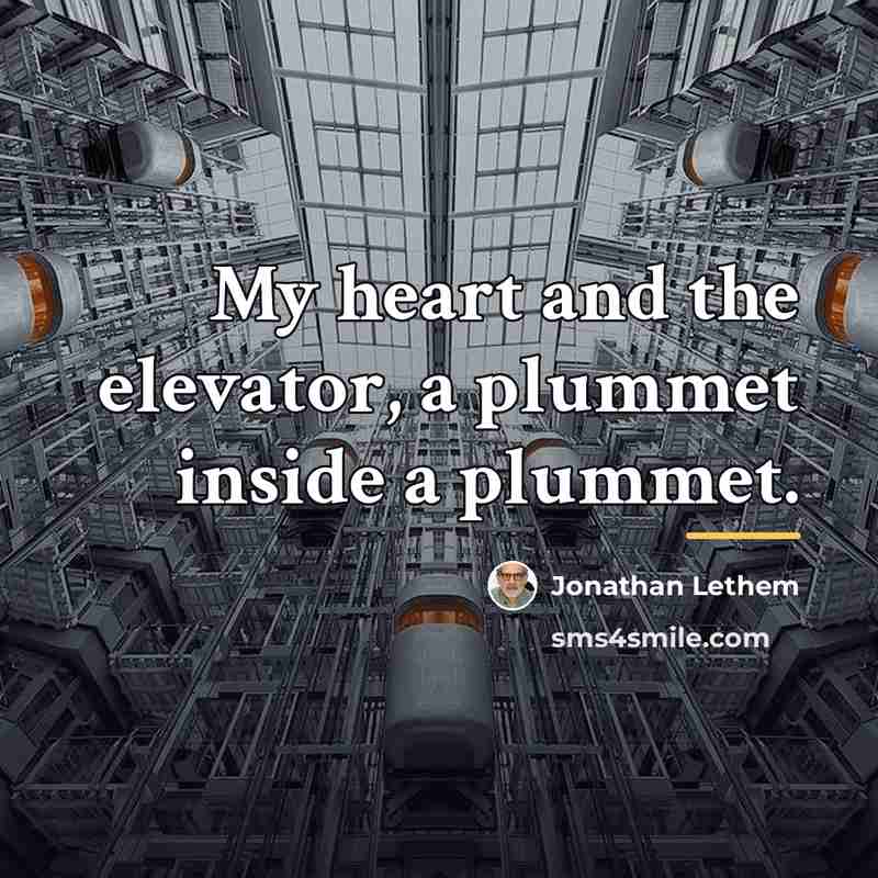 “My heart and the elevator, a plummet inside a plummet.…” quote by Jonathan Lethem