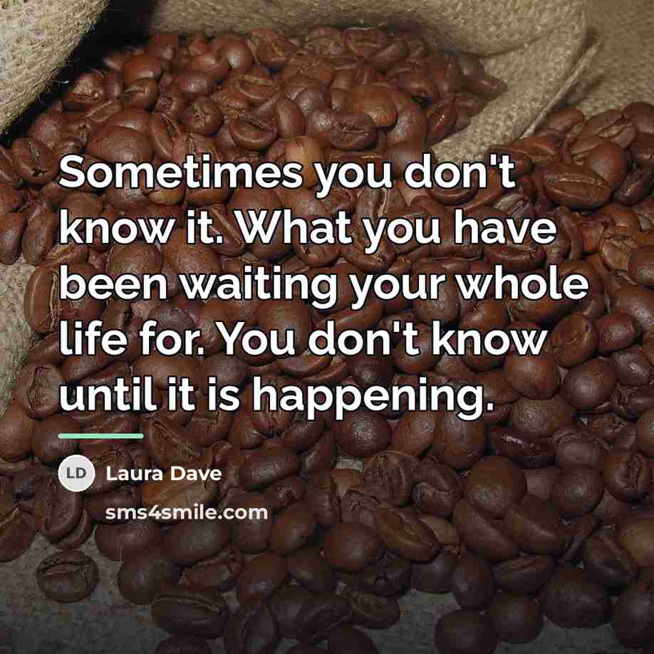 “Sometimes you don't know it. What you have been waiting…” quote by Laura Dave
