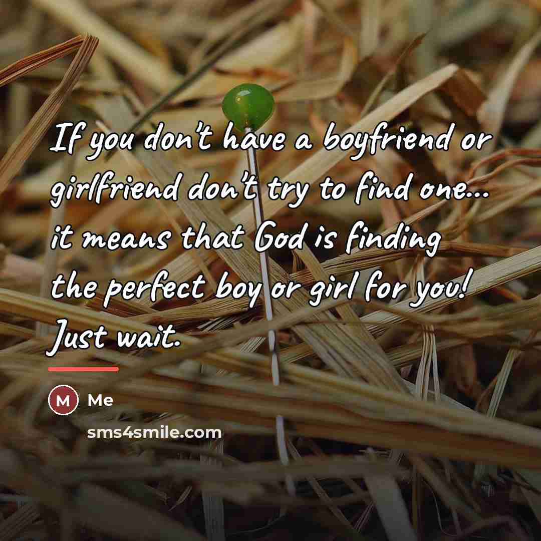 “If you don't have a boyfriend or girlfriend don't try…” quote by Me