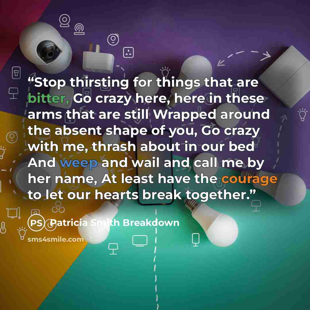 “Stop thirsting for things that are bitter, Go crazy here, here in these arms that are still Wrapped around the absent shape of you, Go crazy with me, thrash about in our bed And weep and wail and call me by her name, At least have the courage to let our hearts break together.” quote by Patricia Smith Breakdown