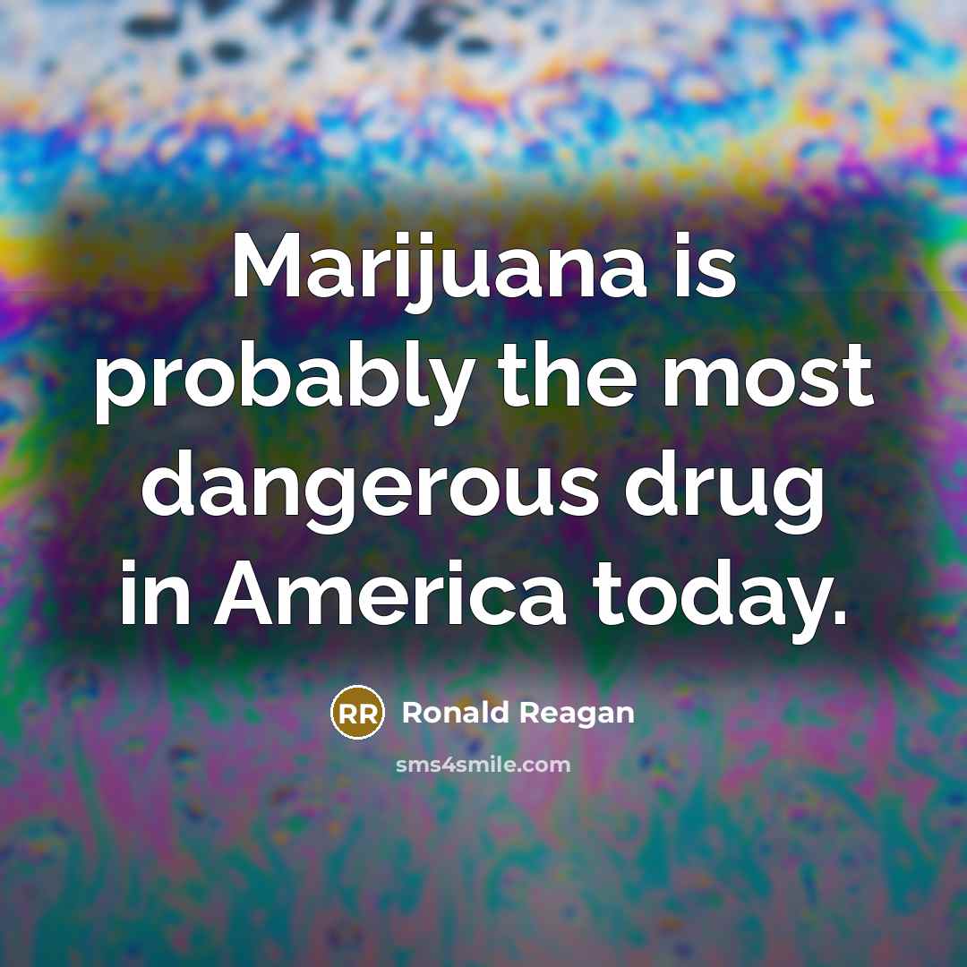 “Marijuana is probably the most dangerous drug in America today.…” quote by Ronald Reagan