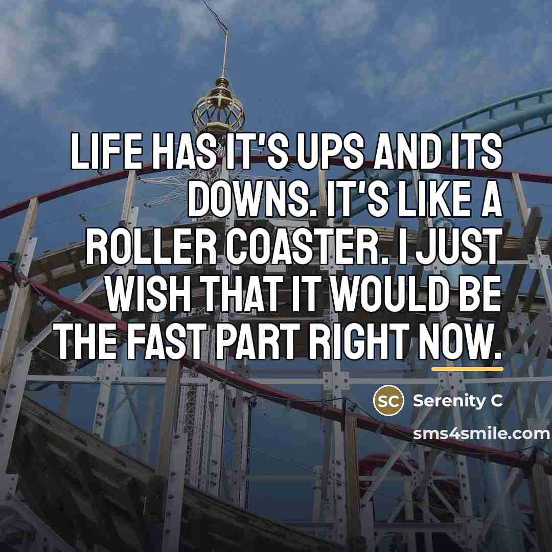 “Life has it's ups and its downs. It's like a…” quote by Serenity C