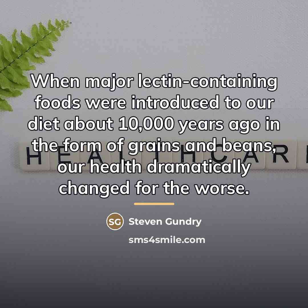 “When major lectin-containing foods were introduced to our diet about…” quote by Steven Gundry