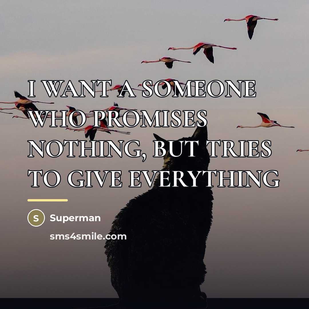“I WANT A SOMEONE WHO PROMISES NOTHING, BUT TRIES TO…” quote by Superman