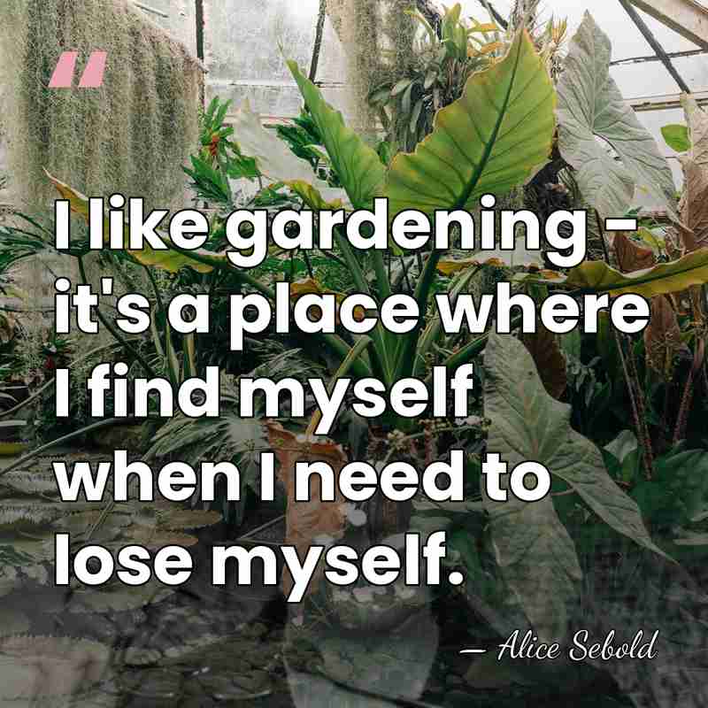 I like gardening - it's a place where I find myself when&hellip; - Alice Sebold