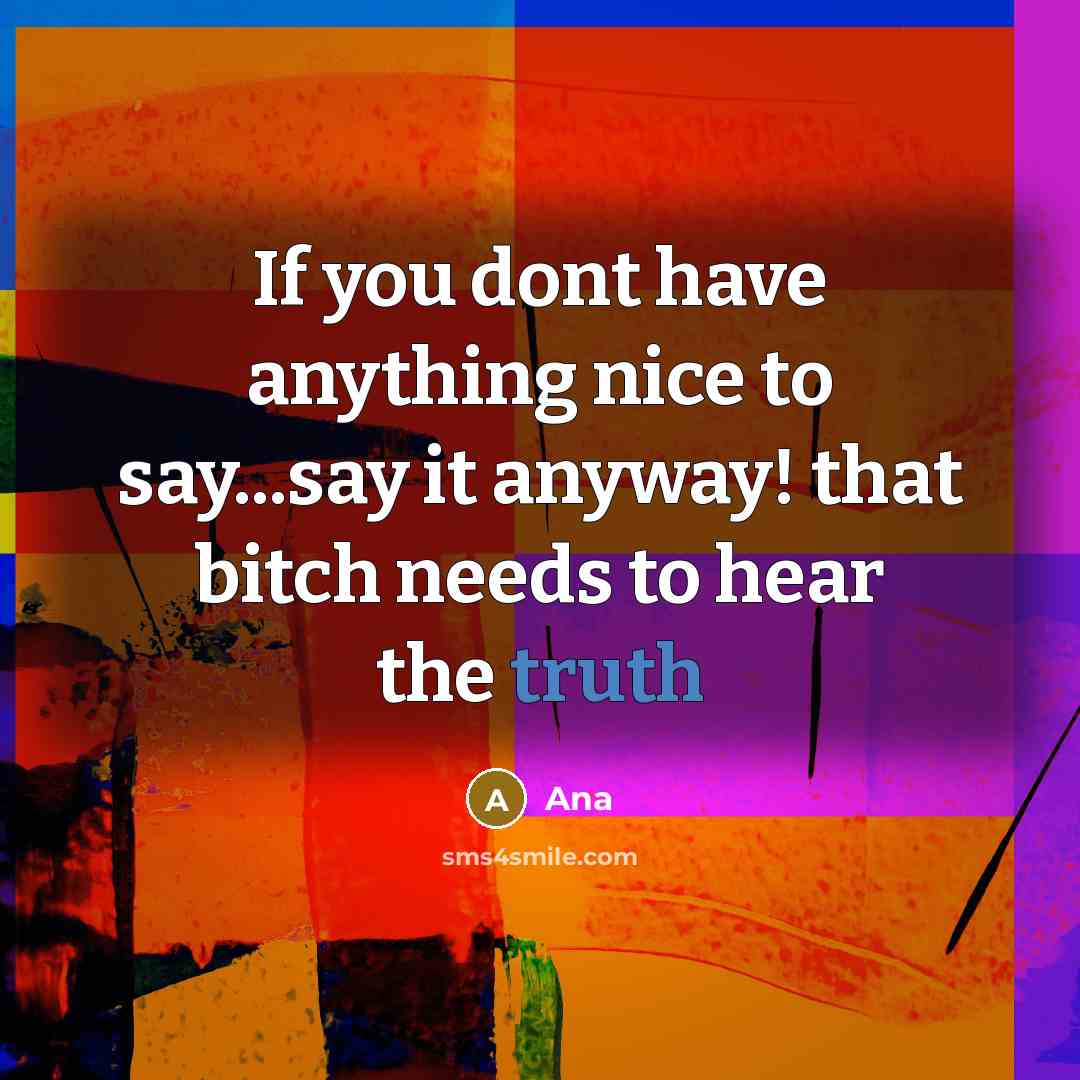 “If you dont have anything nice to say...say it anyway! that bitch needs to hear the truth” quote by Ana