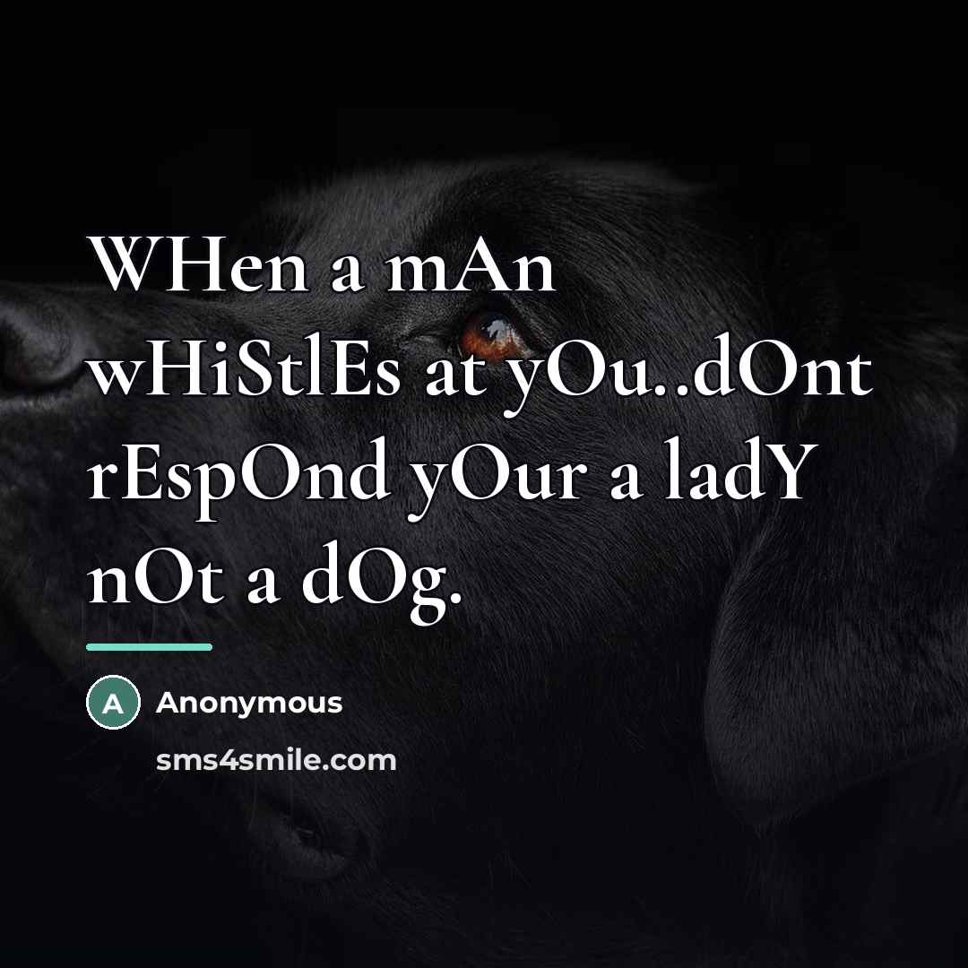“WHen a mAn wHiStlEs at yOu..dOnt rEspOnd yOur a ladY…” quote by Anonymous