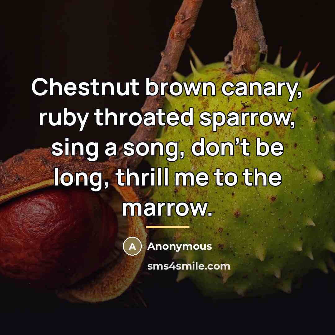 “Chestnut brown canary, ruby throated sparrow, sing a song, don't…” quote by Anonymous