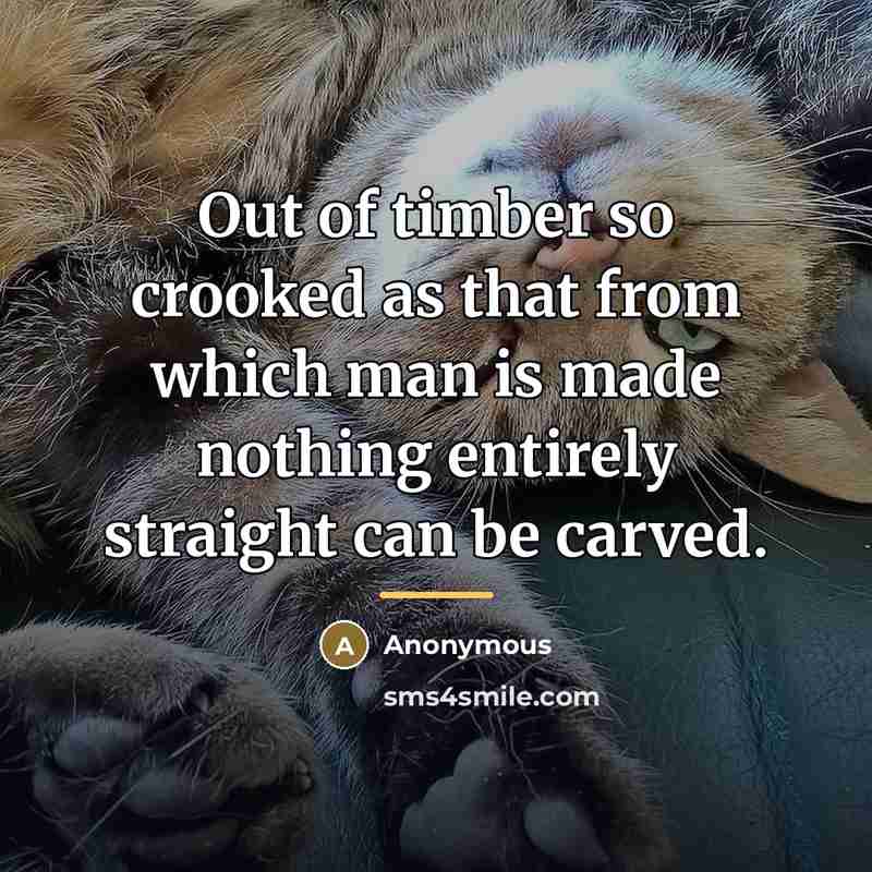 “Out of timber so crooked as that from which man…” quote by Anonymous