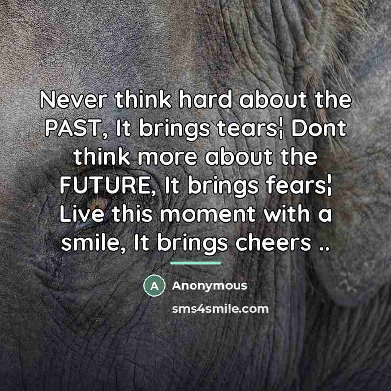 “Never think hard about the PAST, It brings tears¦ Dont…” quote by Anonymous