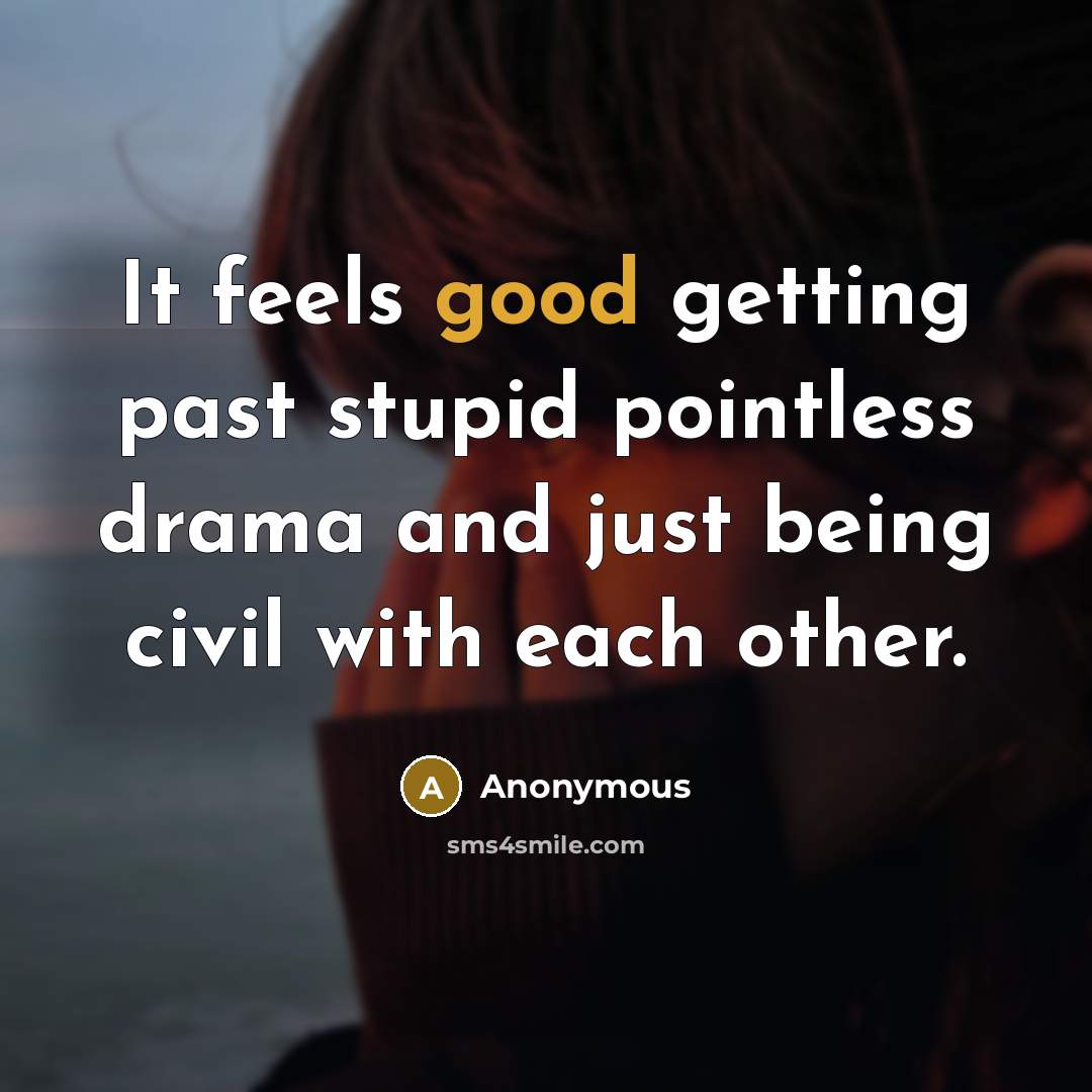 “It feels good getting past stupid pointless drama and just being civil with each other.” quote by Anonymous