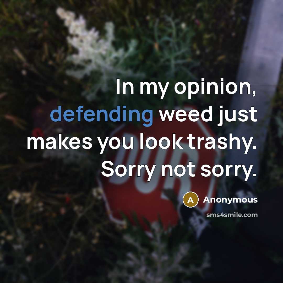 “In my opinion, defending weed just makes you look trashy. Sorry not sorry.” quote by Anonymous