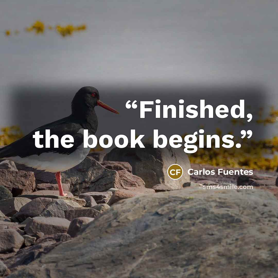 “Finished, the book begins.” quote by Carlos Fuentes