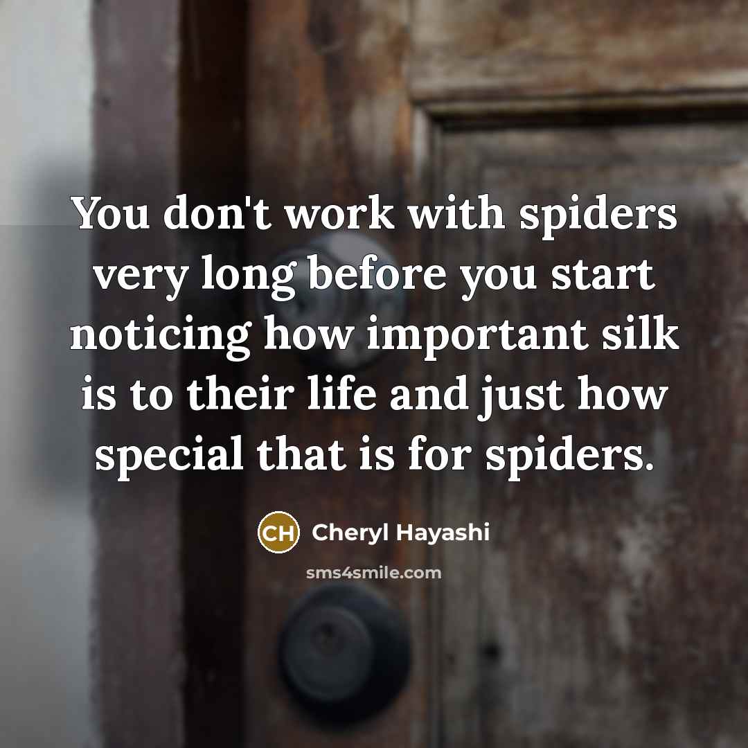 “You don't work with spiders very long before you start…” quote by Cheryl Hayashi