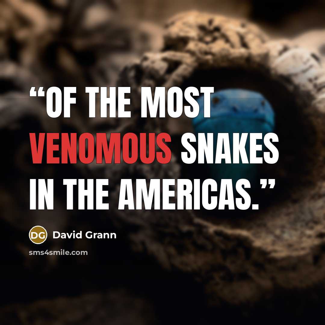 “of the most venomous snakes in the Americas.” quote by David Grann