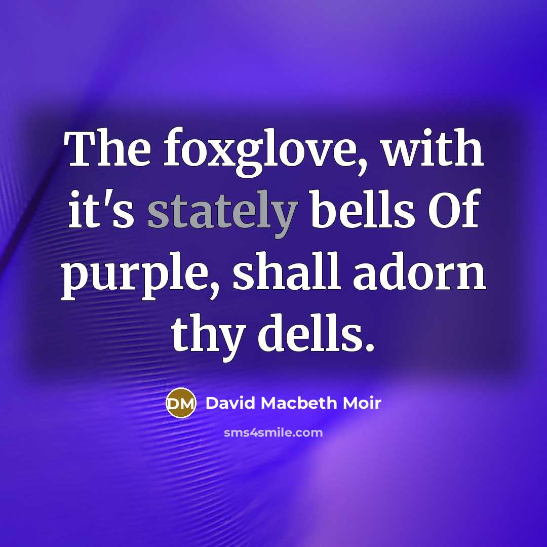 “The foxglove, with it's stately bells Of purple, shall adorn…” quote by David Macbeth Moir