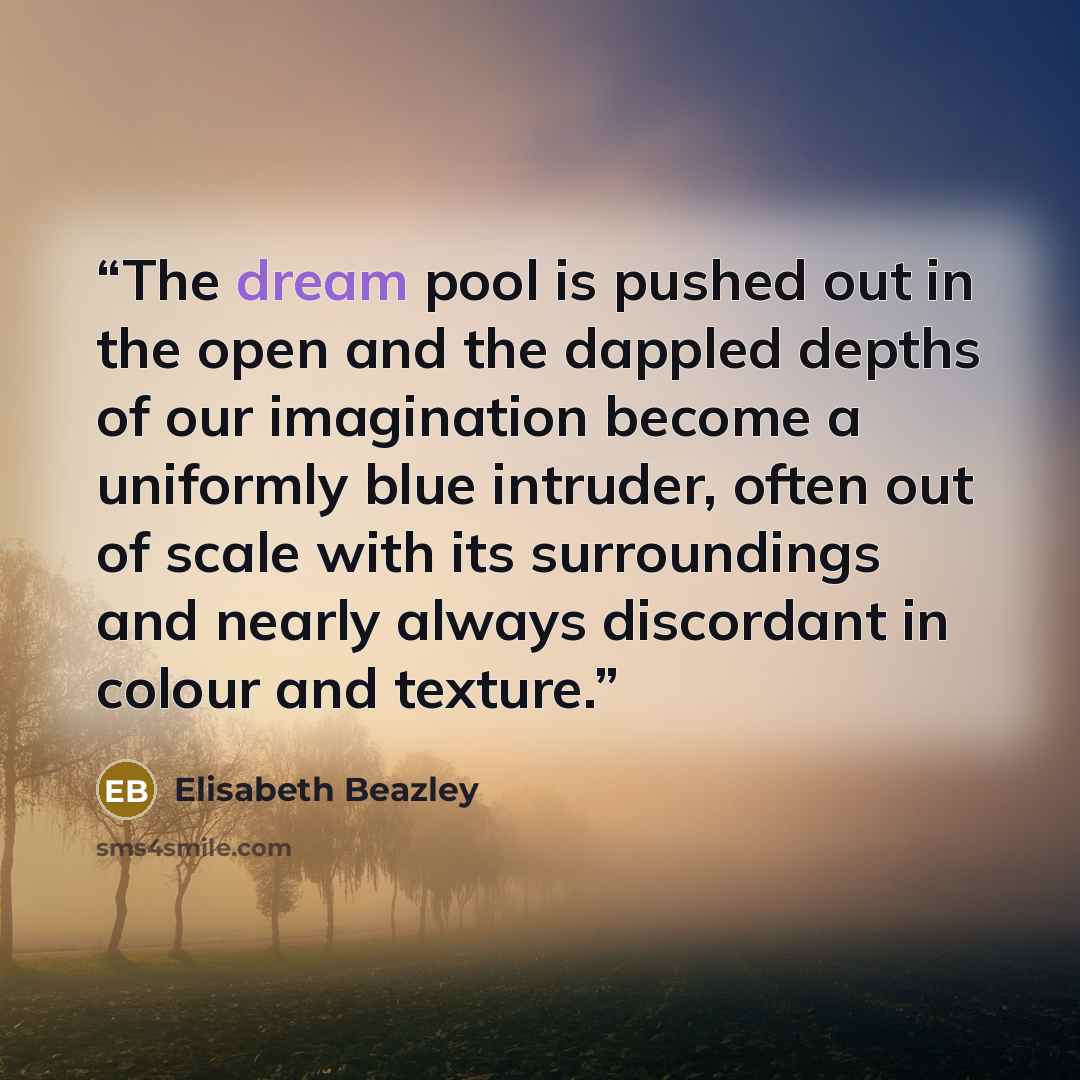 “The dream pool is pushed out in the open and the dappled depths of our imagination become a uniformly blue intruder, often out of scale with its surroundings and nearly always discordant in colour and texture.” quote by Elisabeth Beazley