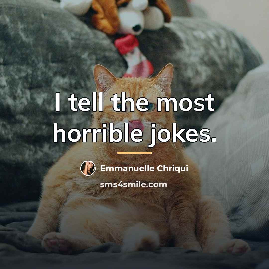 “I tell the most horrible jokes.…” quote by Emmanuelle Chriqui