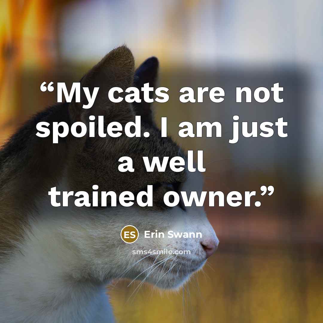 “My cats are not spoiled. I am just a well trained owner.” quote by Erin Swann