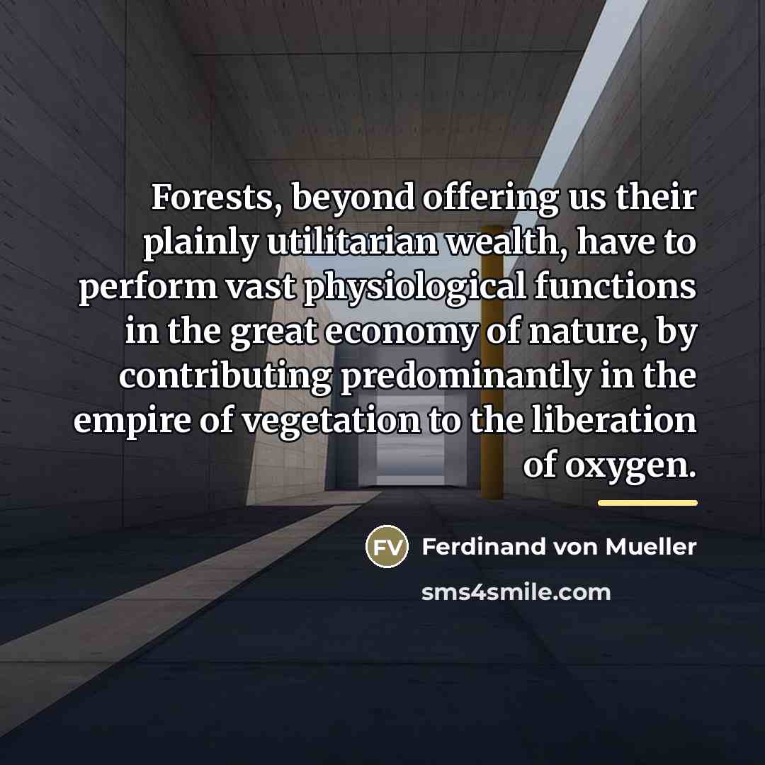 “Forests, beyond offering us their plainly utilitarian wealth, have to…” quote by Ferdinand von Mueller