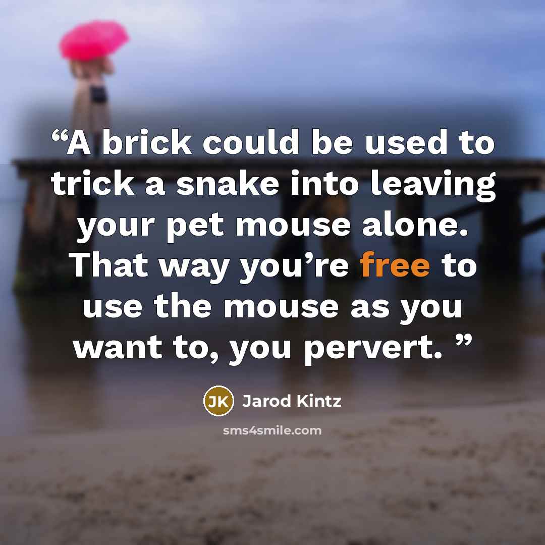 “A brick could be used to trick a snake into leaving your pet mouse alone. That way you’re free to use the mouse as you want to, you pervert.” quote by Jarod Kintz