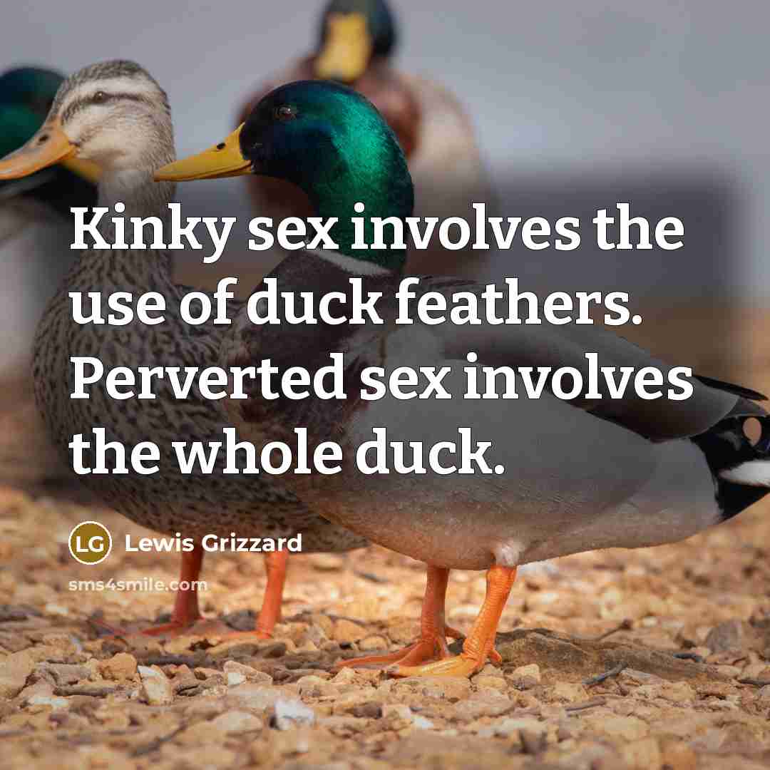 “Kinky sex involves the use of duck feathers. Perverted sex…” quote by Lewis Grizzard