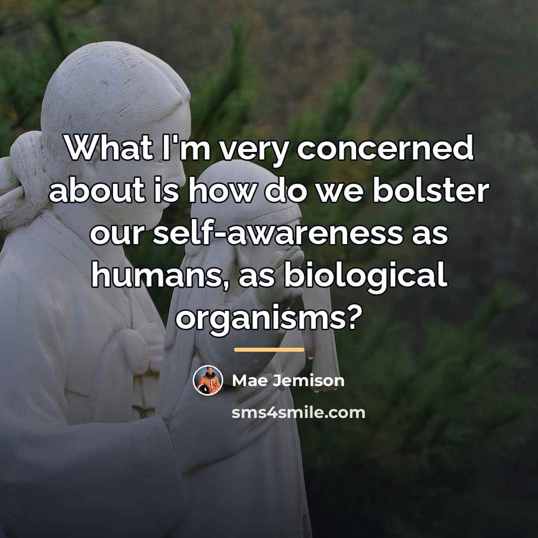 “What I'm very concerned about is how do we bolster…” quote by Mae Jemison