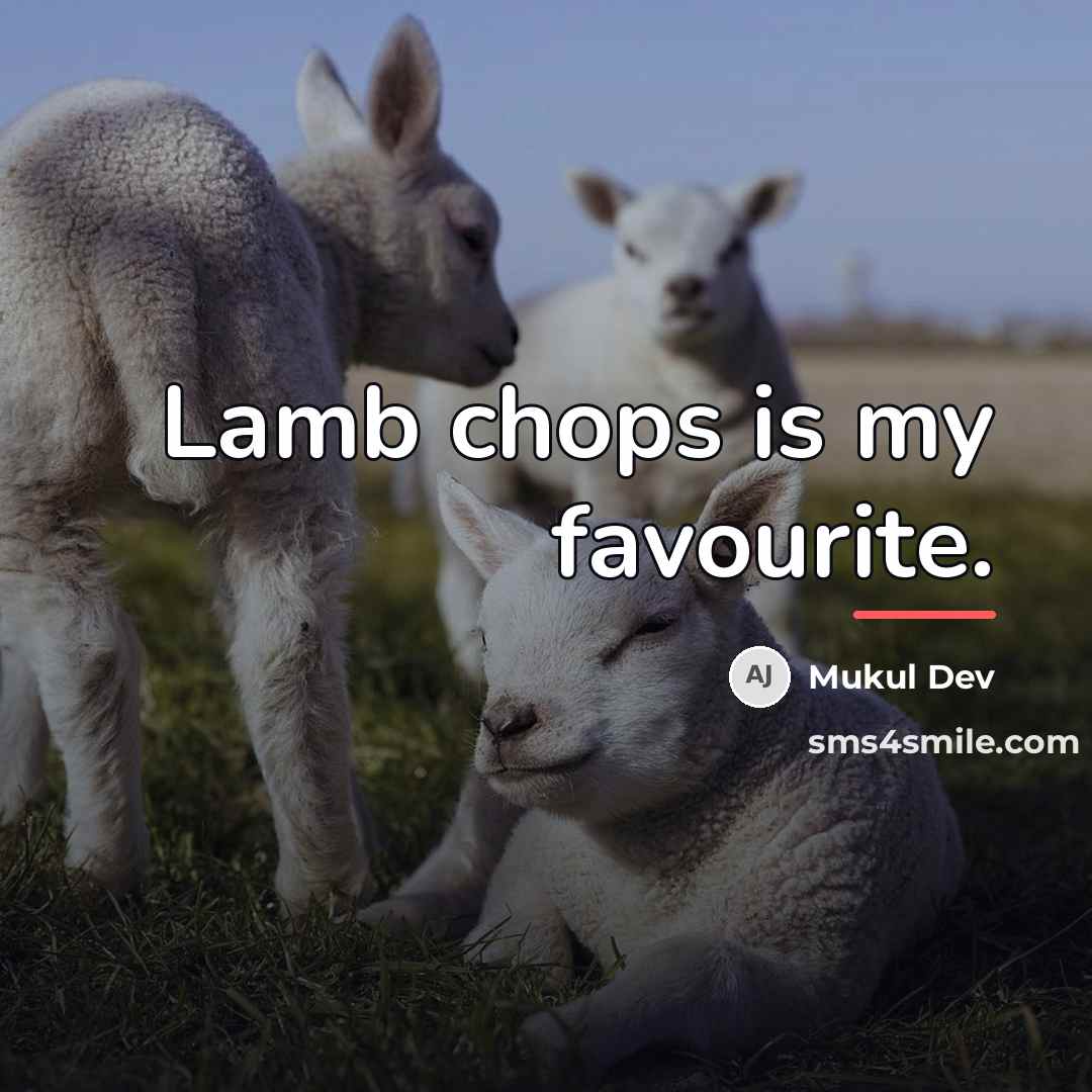 “Lamb chops is my favourite.…” quote by Mukul Dev
