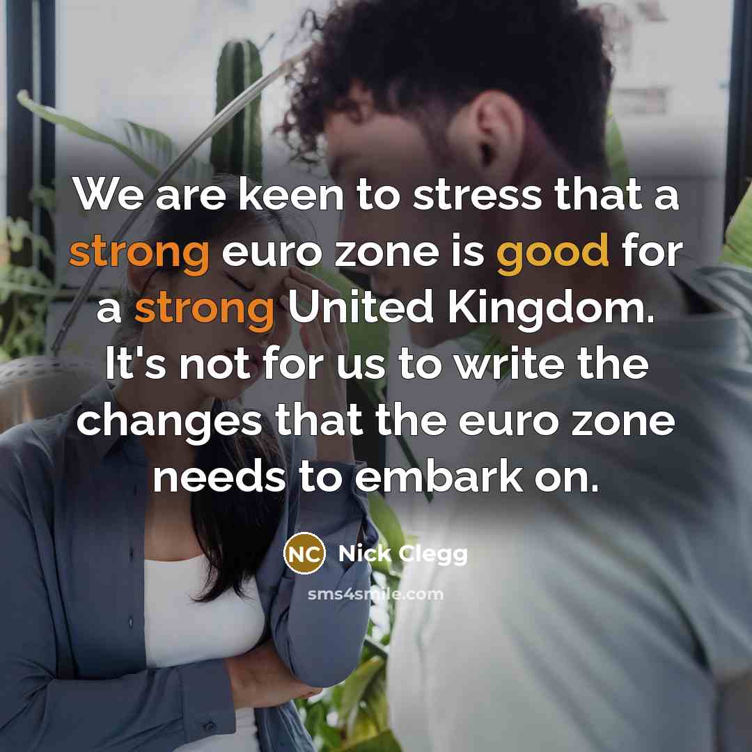 “We are keen to stress that a strong euro zone…” quote by Nick Clegg