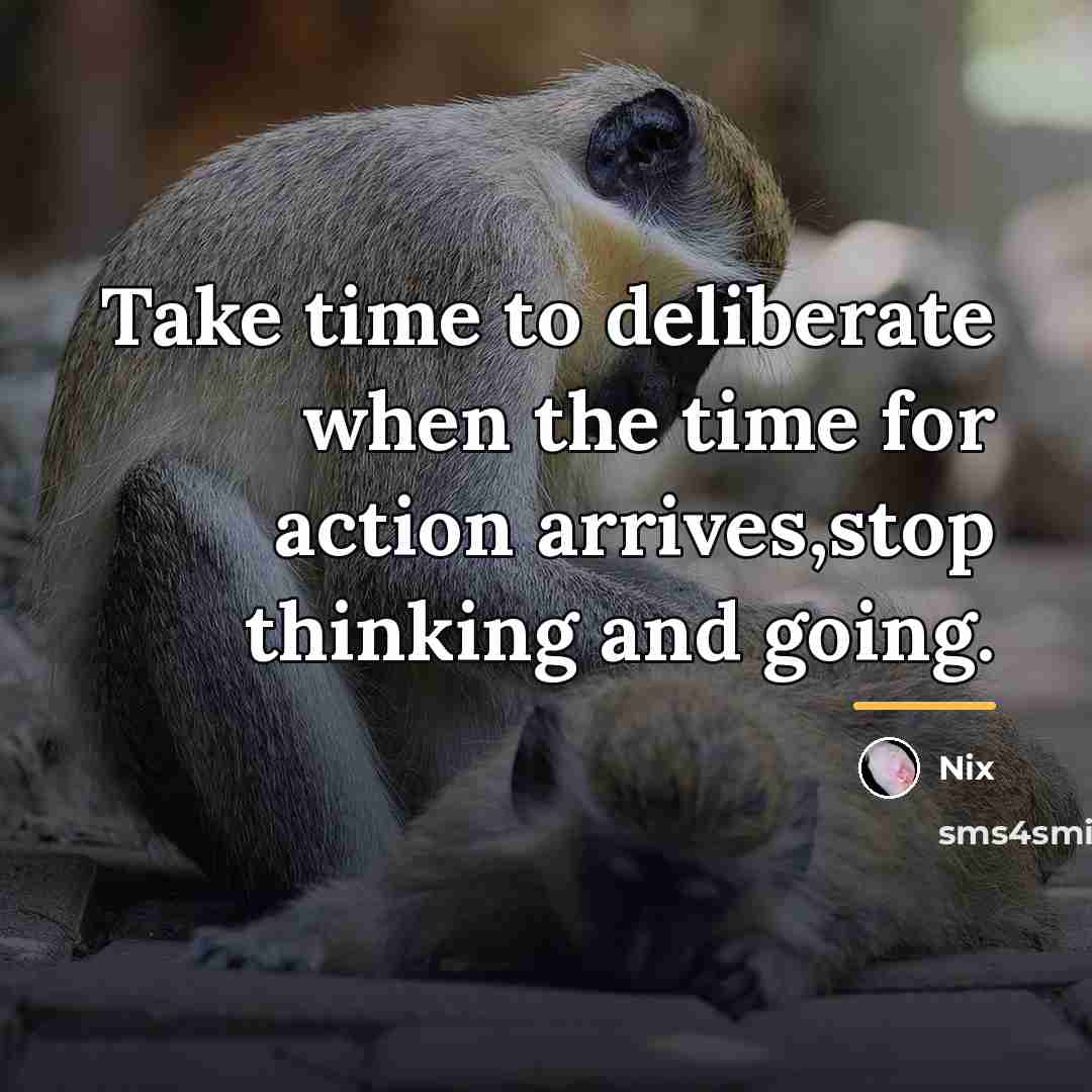“Take time to deliberate when the time for action arrives,stop…” quote by Nix