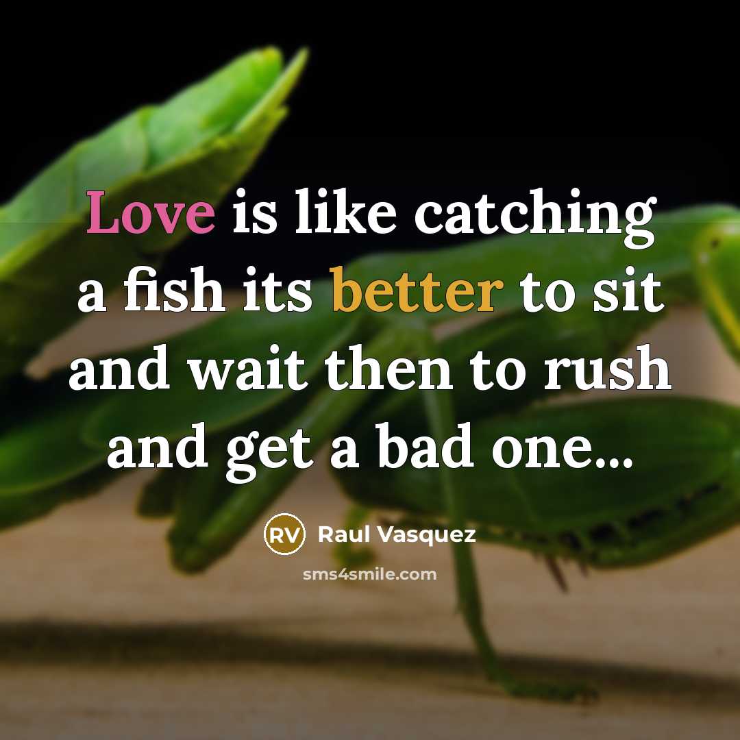 “Love is like catching a fish its better to sit and wait then to rush and get a bad one...” quote by Raul Vasquez