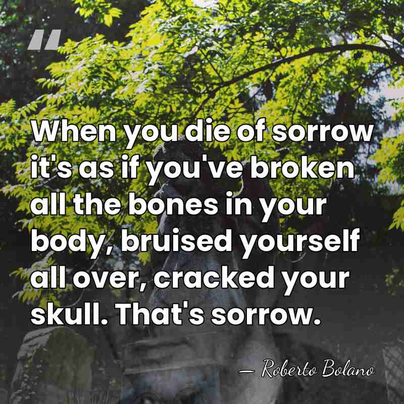 When you die of sorrow it's as if you've broken all the&hellip; - Roberto Bolano