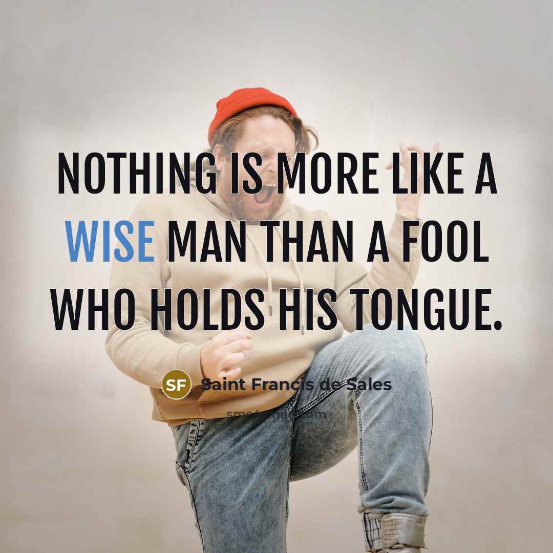 “Nothing is more like a wise man than a fool…” quote by Saint Francis de Sales
