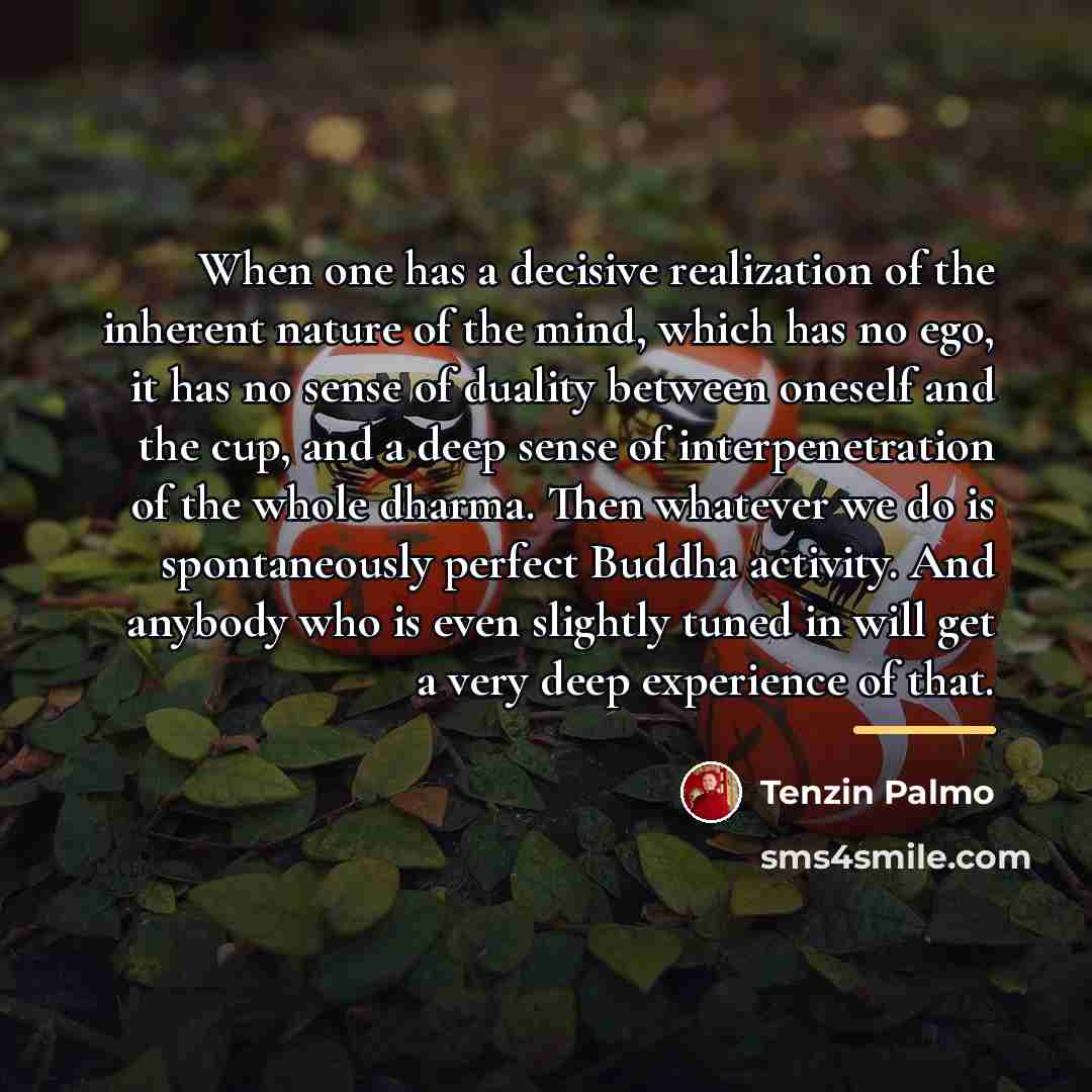 “When one has a decisive realization of the inherent nature…” quote by Tenzin Palmo