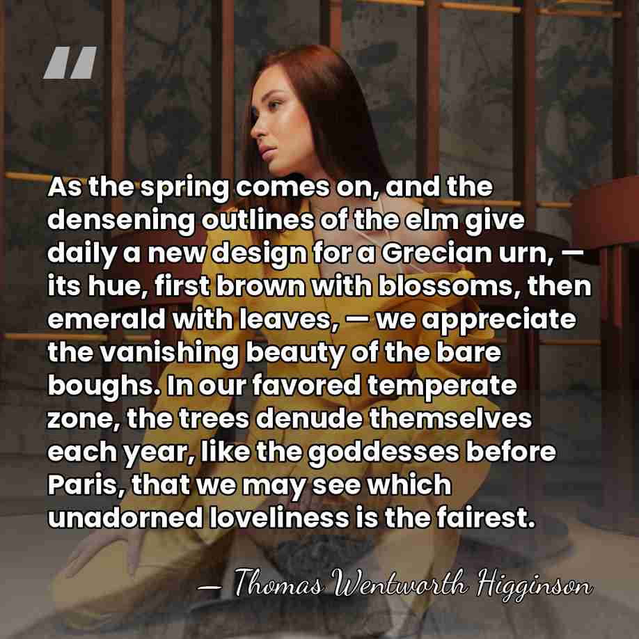As the spring comes on, and the densening outlines of the elm&hellip; - Thomas Wentworth Higginson