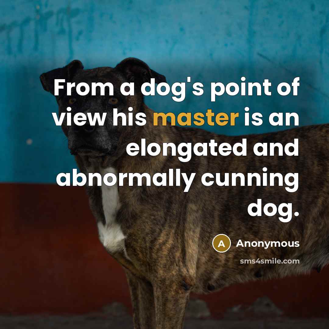 “From a dog's point of view his master is an elongated and abnormally cunning dog.” quote by Anonymous