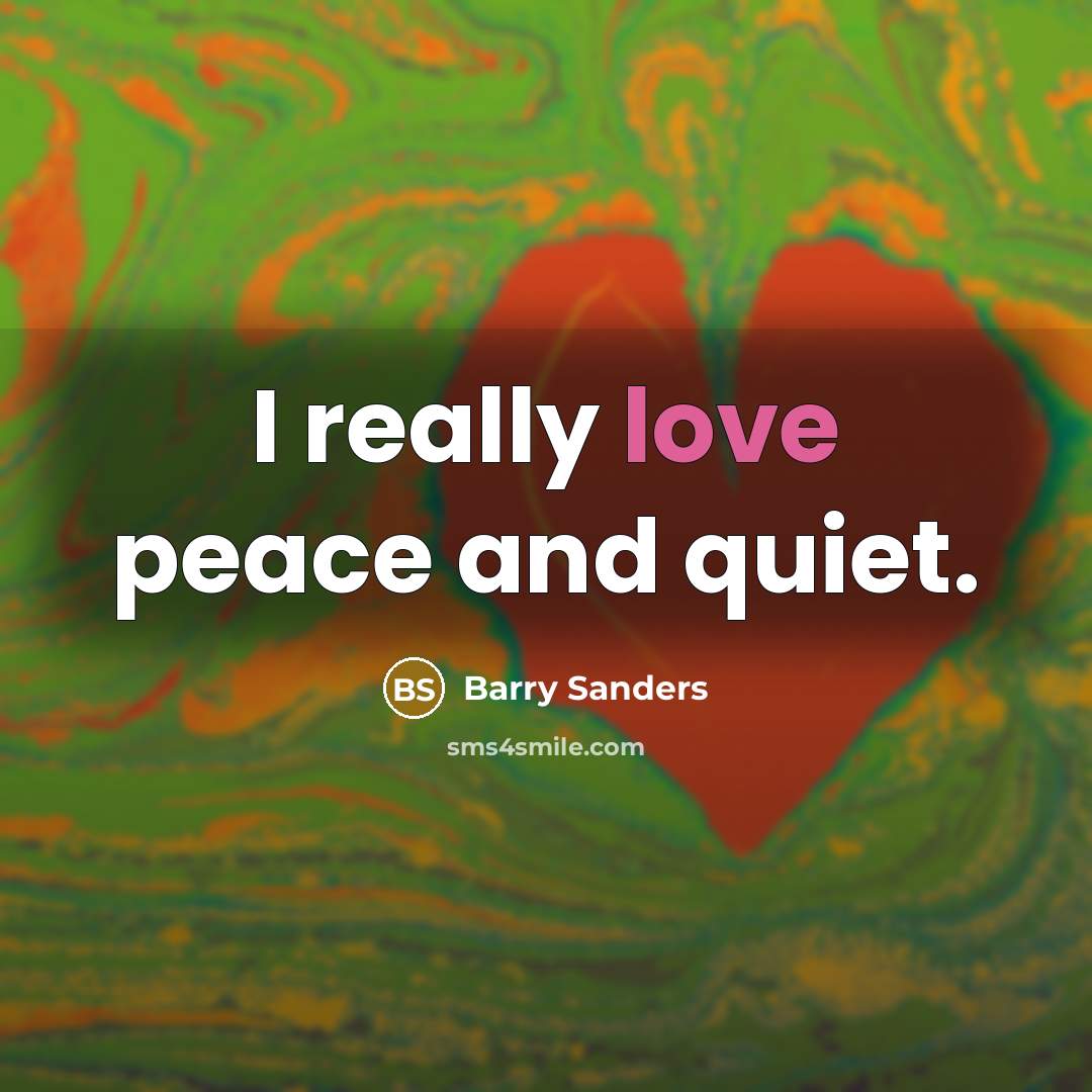 “I really love peace and quiet.…” quote by Barry Sanders