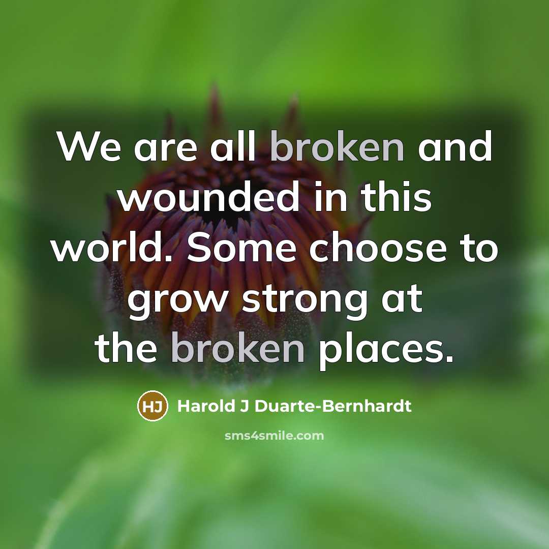 “We are all broken and wounded in this world. Some…” quote by Harold J Duarte-Bernhardt