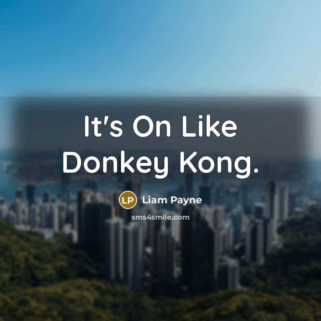 “It's On Like Donkey Kong.” quote by Liam Payne
