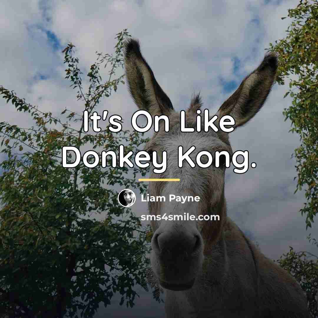 “It's On Like Donkey Kong.…” quote by Liam Payne