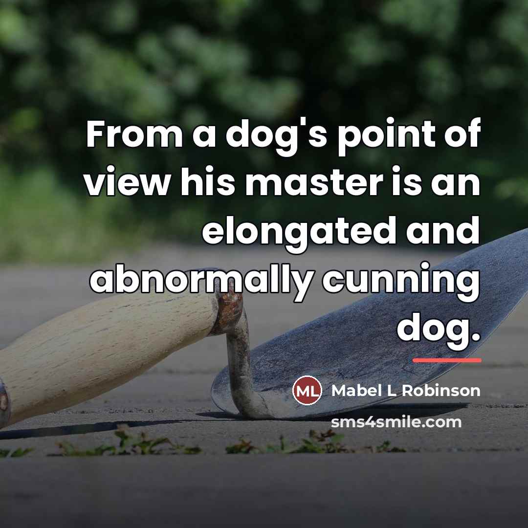 “From a dog's point of view his master is an…” quote by Anonymous