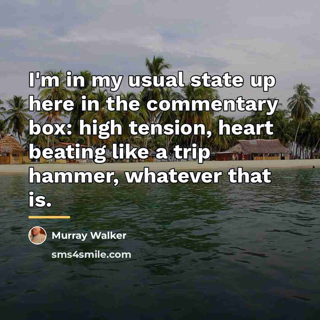 “I'm in my usual state up here in the commentary…” quote by Murray Walker