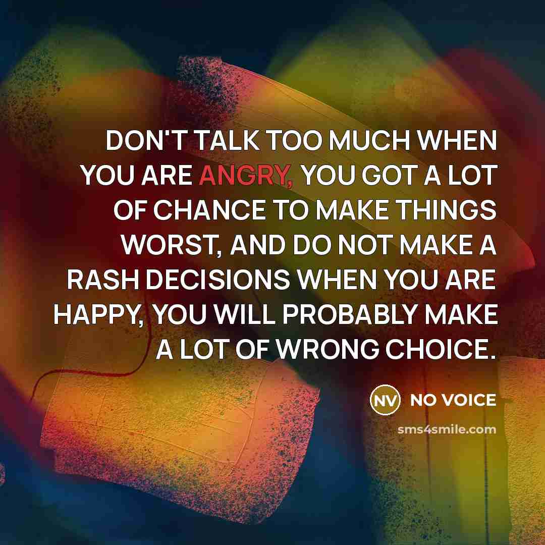 “DON'T TALK TOO MUCH WHEN YOU ARE ANGRY, YOU GOT…” quote by NO VOICE