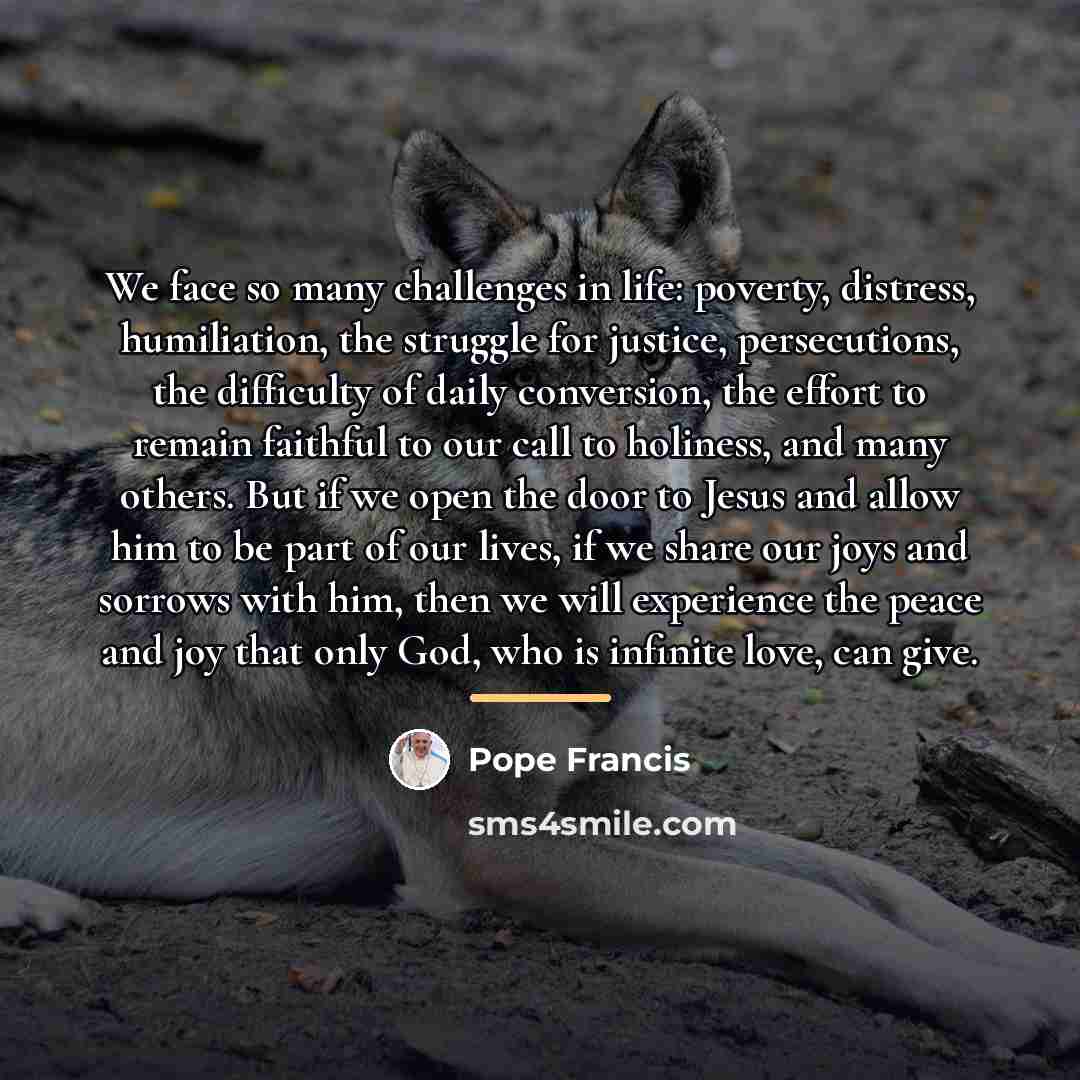 “We face so many challenges in life: poverty, distress, humiliation,…” quote by Pope Francis