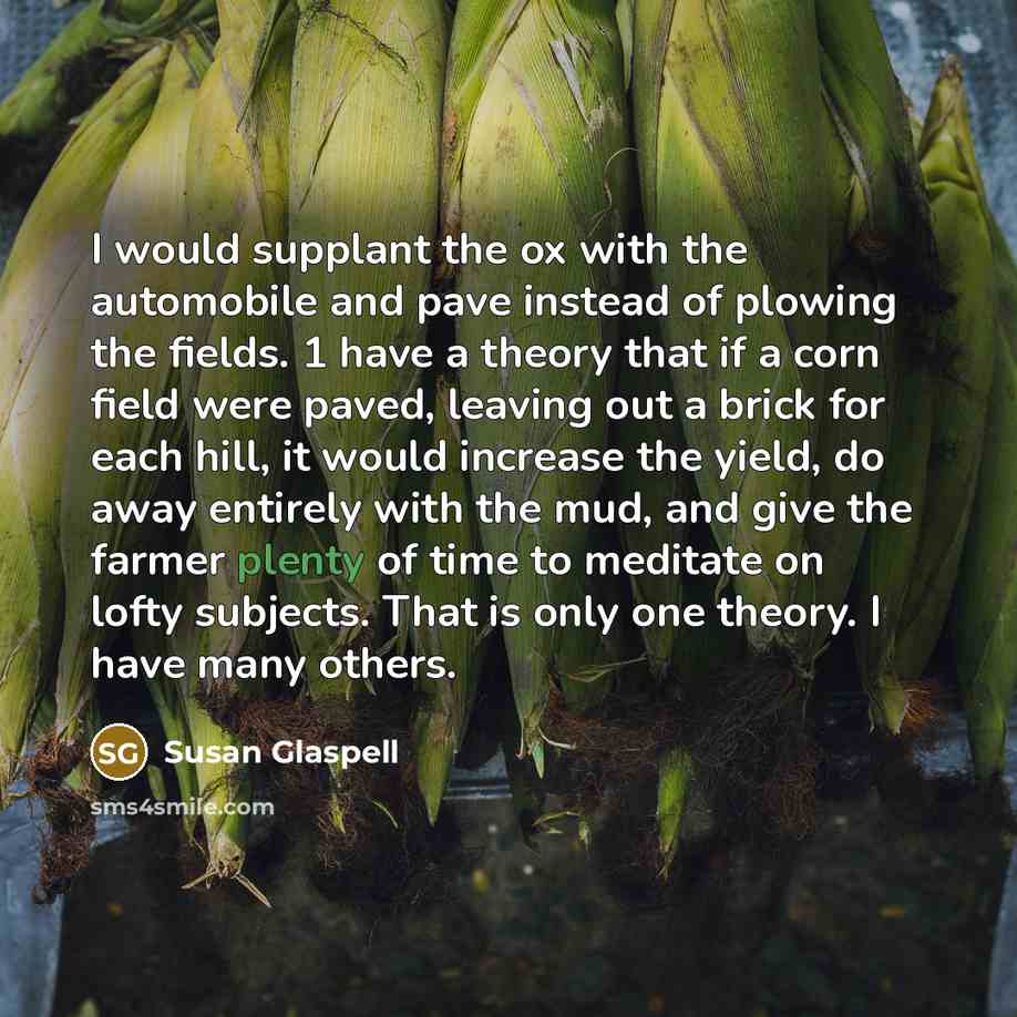 “I would supplant the ox with the automobile and pave…” quote by Susan Glaspell