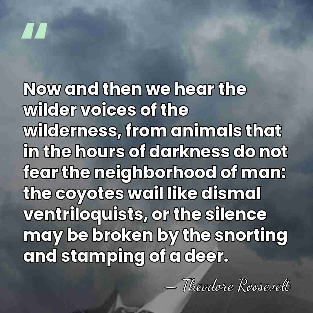 Now and then we hear the wilder voices of the wilderness, from&hellip; - Theodore Roosevelt