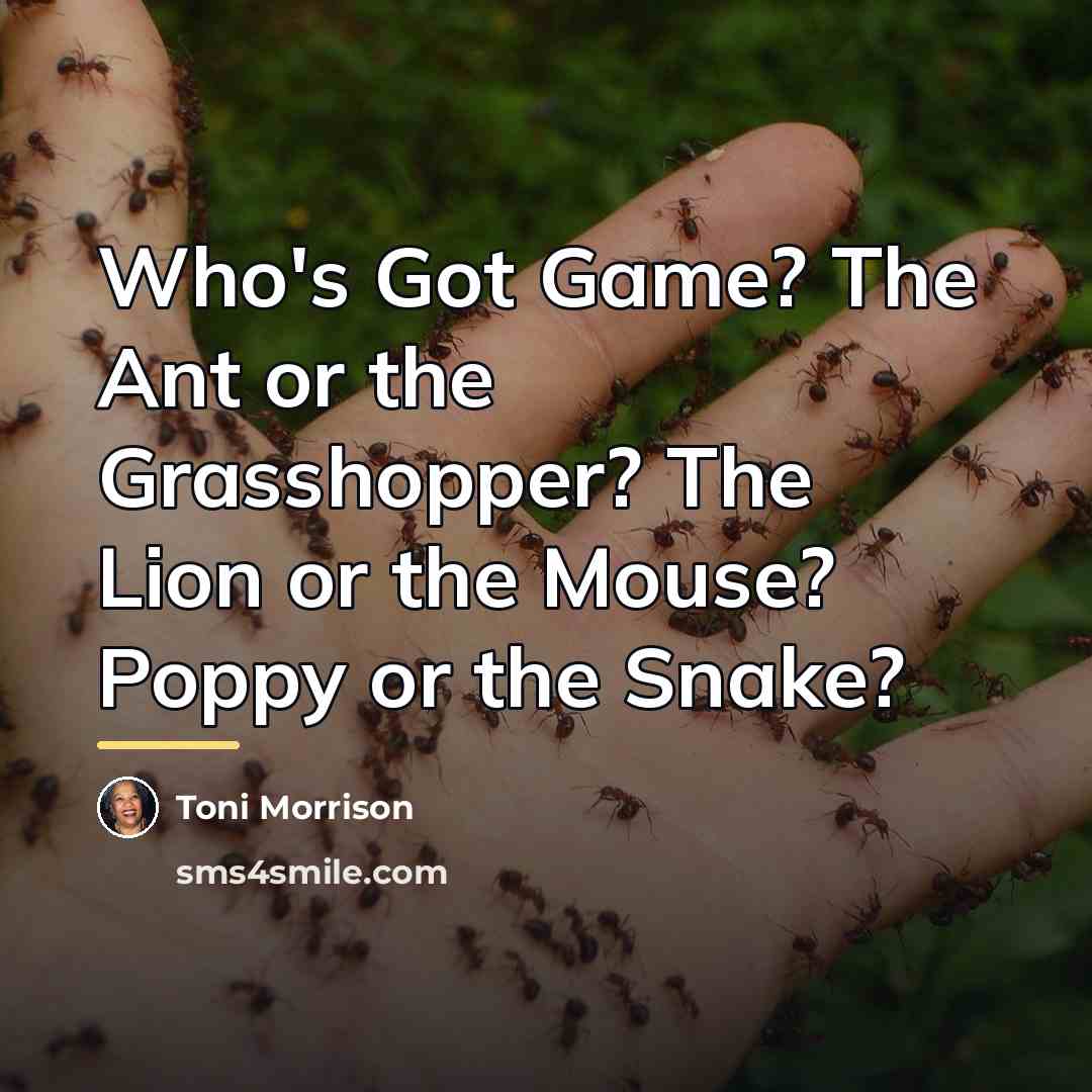 “Who's Got Game? The Ant or the Grasshopper? The Lion…” quote by Toni Morrison