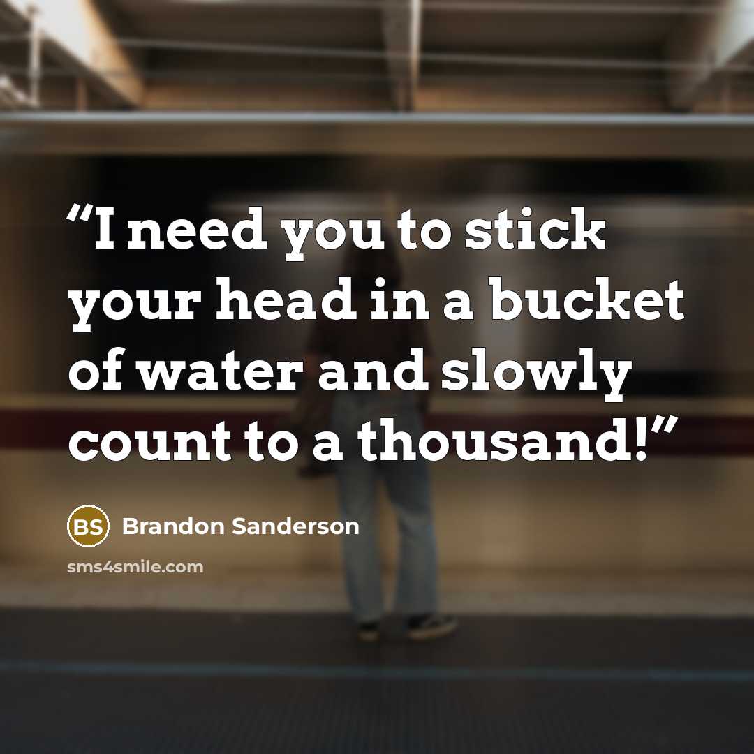 “I need you to stick your head in a bucket of water and slowly count to a thousand!” quote by Brandon Sanderson